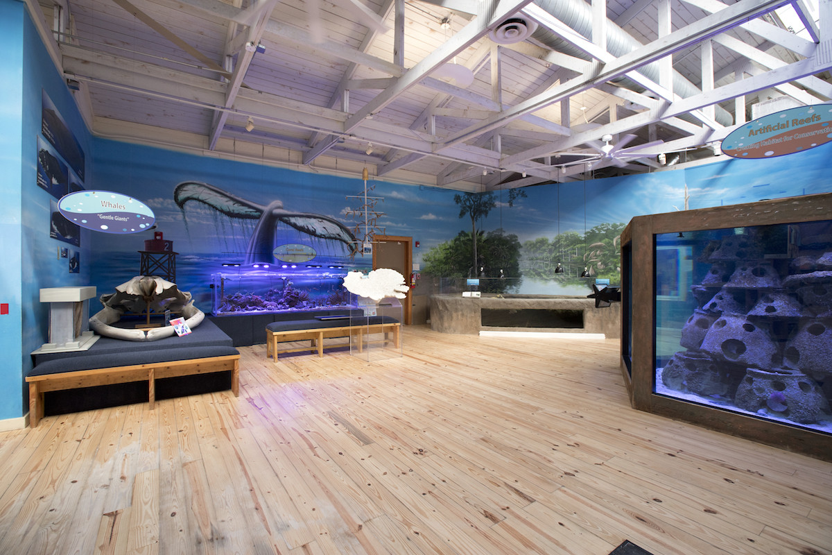 projects/edu/marine_science/marinesciencecenter1.jpg